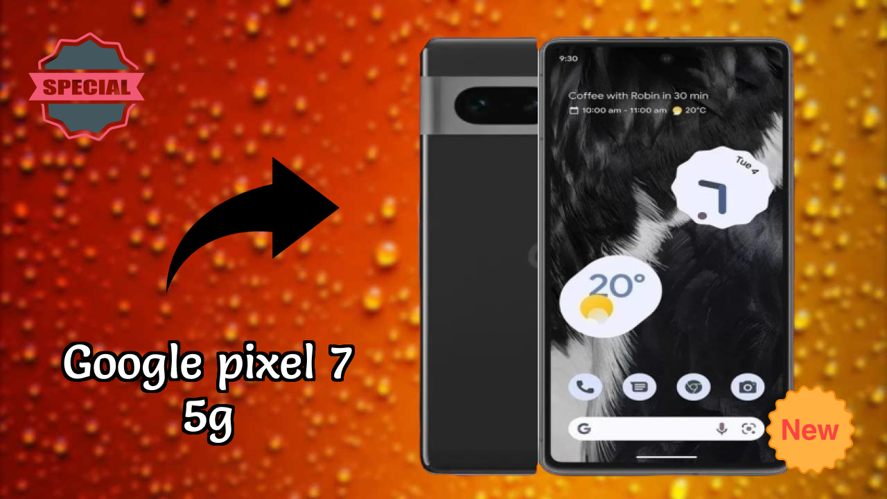 Google Pixel 7 5G Camera Samples: 50 MP + 12 MP Rear Camera Real Photos